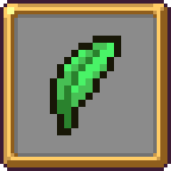 Spinach