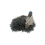 Feathercrown of Folly