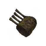 Rotten Beast-Steak