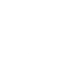 Gunslinger